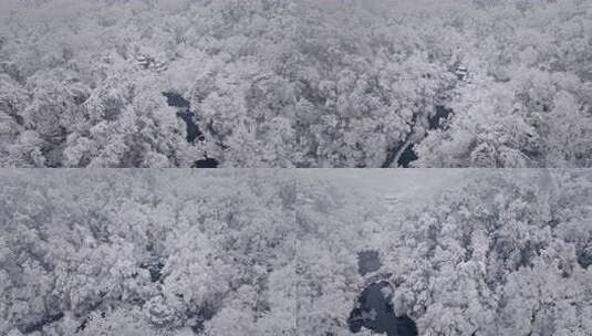 长沙雪景-岳麓山爱晚亭岳麓书院航拍高清在线视频素材下载