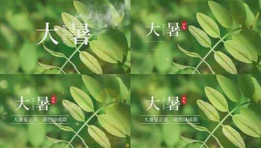 原创大暑节气夏天植物绿荫叶子绿色片头高清AE视频素材下载