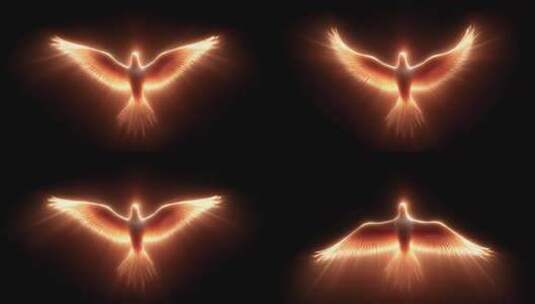 光芒四射的飞鸟象征希望与光明高清在线视频素材下载