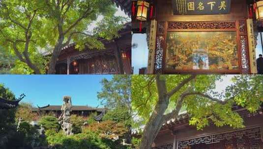 苏州留园桂花拍摄11镜组合高清在线视频素材下载