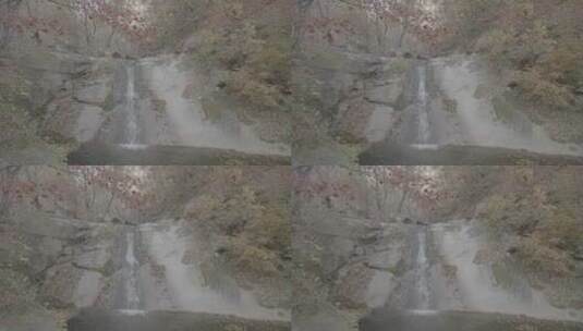 秋天落叶苔藓秋水LOG高清在线视频素材下载