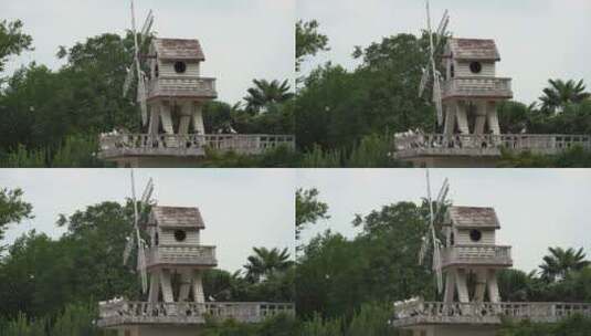 南京玄武湖景区的和平鸽高清在线视频素材下载