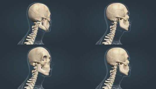 颅骨 头部 关节运动 头部运动 三维动画高清在线视频素材下载