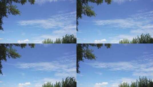 自然景色蓝天白云树枝树木缩时长镜头高清在线视频素材下载