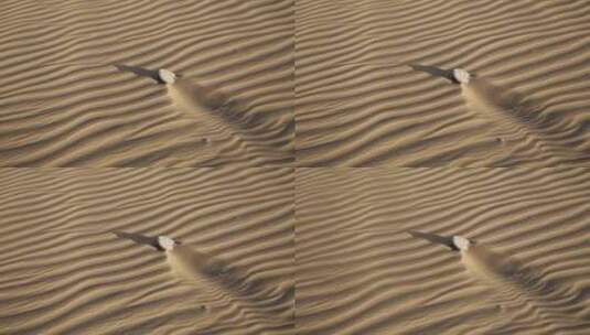 沙漠纹理景观高清在线视频素材下载