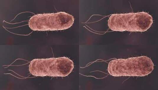 医疗病菌病毒细菌分子病原体生物三维动画高清在线视频素材下载