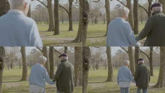 公园里散步的老夫妻高清在线视频素材下载