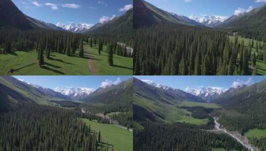 新疆夏塔的森林草原雪山高清在线视频素材下载