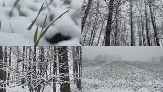 冬天的雪景合集高清在线视频素材下载