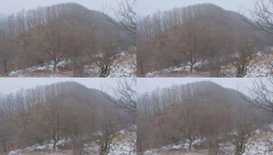 冬天秦岭山深处岭南公园的雪景高清在线视频素材下载