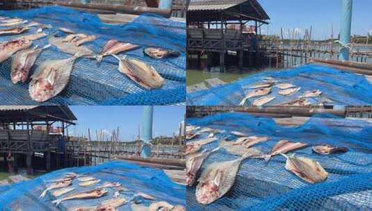 泰国居民晾晒的鱼干高清在线视频素材下载