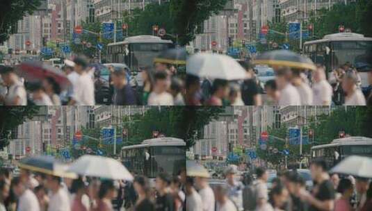 上海行人过马路高清在线视频素材下载