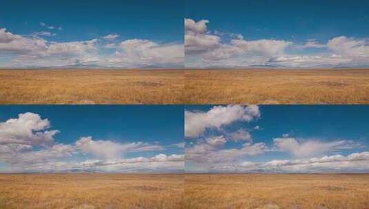 秋天的内蒙古草原高清在线视频素材下载