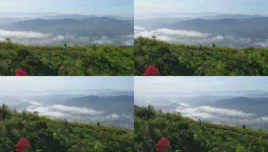 旅行  登山 云海高清在线视频素材下载