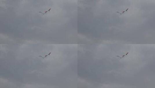 风筝在天上飞15高清在线视频素材下载