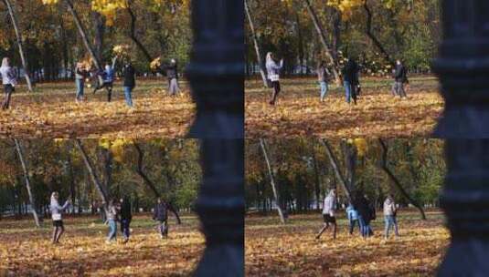 秋天公园银杏树 拍照打卡的人们高清在线视频素材下载
