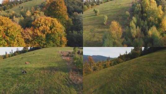 山区秋天的美景高清在线视频素材下载