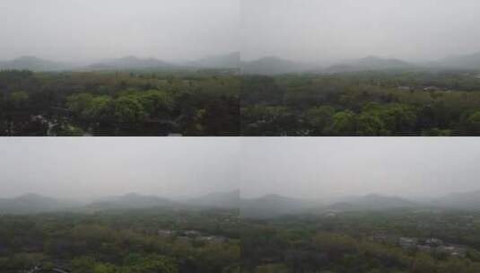 烟雨蒙蒙杨公堤西湖缓缓升起高清在线视频素材下载