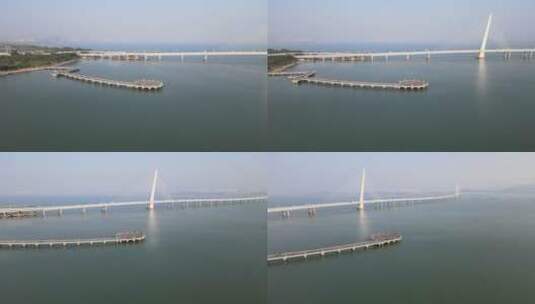 深圳湾大桥 大桥 跨境大桥高清在线视频素材下载