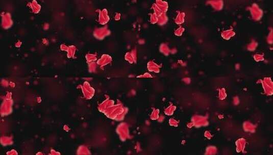 唯美红色杜鹃花粒子背景视频高清在线视频素材下载