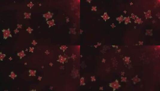 暗红色长寿花花朵飘飞LED唯美演绎背景高清在线视频素材下载