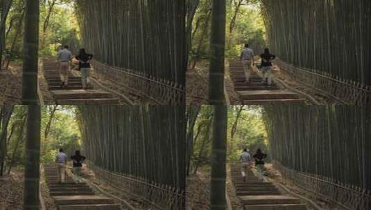 杭州西湖宝石山上的长廊，竹林高清在线视频素材下载