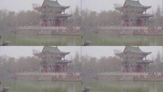 乌鲁木齐人民公园湖心亭雪中鸭子游动视频高清在线视频素材下载
