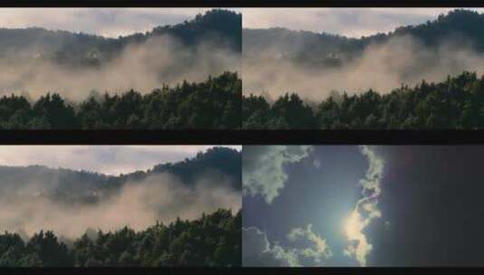 雾气森林茂密树木大山自然野外雨林高清在线视频素材下载