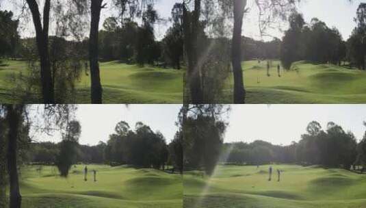 航拍高尔夫球场高清在线视频素材下载