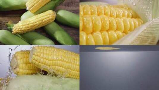 玉米新鲜玉米高清在线视频素材下载