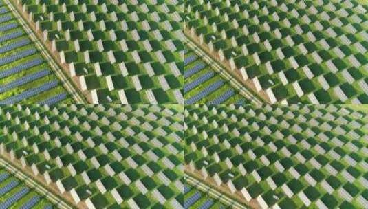 再生能源 绿色能源 绿色农场里的光伏发电高清在线视频素材下载