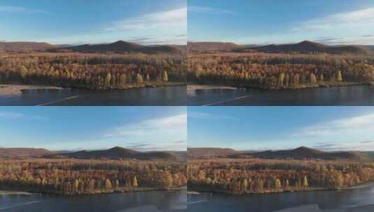 北纬50°冻土森林秋景高清在线视频素材下载