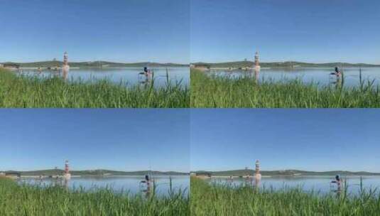河北坝上，湿地草原胡泊，风景。高清在线视频素材下载