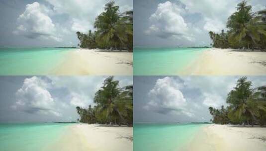 椰子树海边高清在线视频素材下载