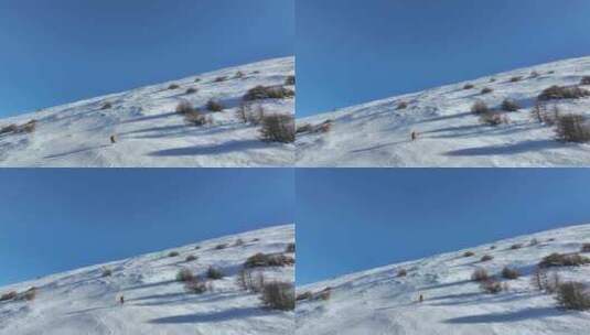 实拍登雪山画面高清在线视频素材下载