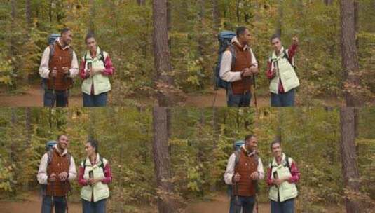 一群朋友一起在秋天的森林里徒步旅行高清在线视频素材下载