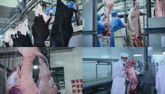 牛肉厂屠宰生产线高清在线视频素材下载