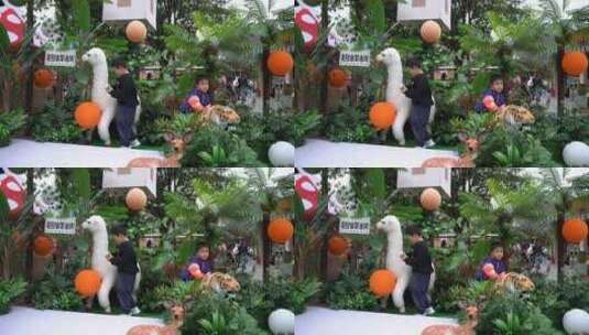 小朋友在碧峰峡野生动物园游玩拍照高清在线视频素材下载