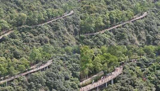 广东观音山国家森林公园第十二届登山大赛高清在线视频素材下载