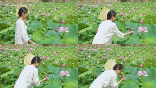 荷花池塘古风唯美少女汉服意境游玩白粉色高清在线视频素材下载