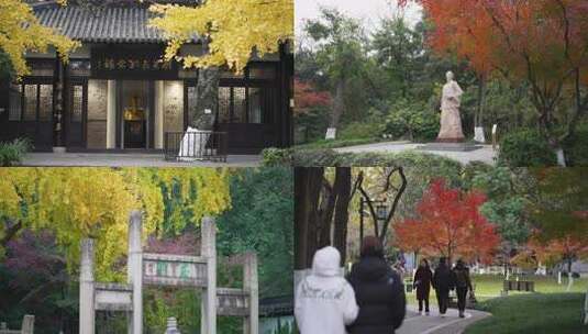 昆山亭林园 4k 秋天 枫叶 秋叶 人文高清在线视频素材下载