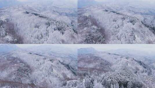 航拍山王坪冬天雪景高清在线视频素材下载