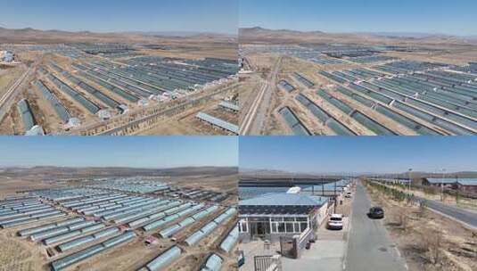 航拍农村蔬菜大棚全景高清在线视频素材下载