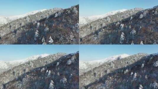 航拍湖北神农架风景区冬季雪山冰雪风光雪景高清在线视频素材下载