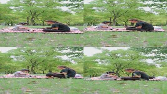 在公园草坪上玩耍的中国母女高清在线视频素材下载