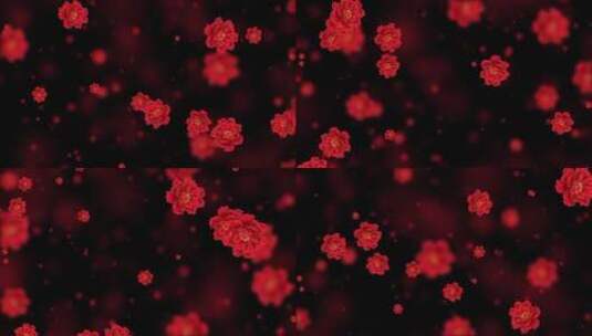 唯美红色牡丹花粒子背景视频高清在线视频素材下载