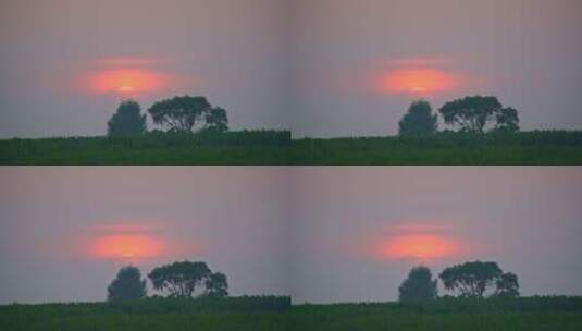 草原上几棵树旁的日落夕阳与天空特写高清在线视频素材下载