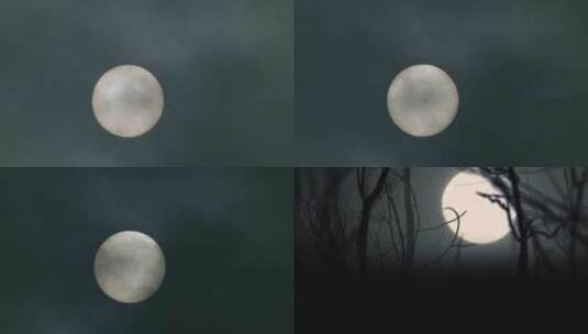 月亮 夜色高清在线视频素材下载