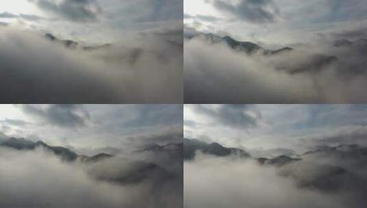 森林-航拍森林-大自然森林云雾-云海雪景高清在线视频素材下载