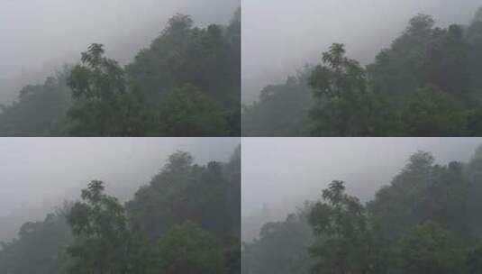 山林山雾鸟鸣寂静高清在线视频素材下载